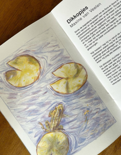 Schermafbeelding 2025 10 27 154634