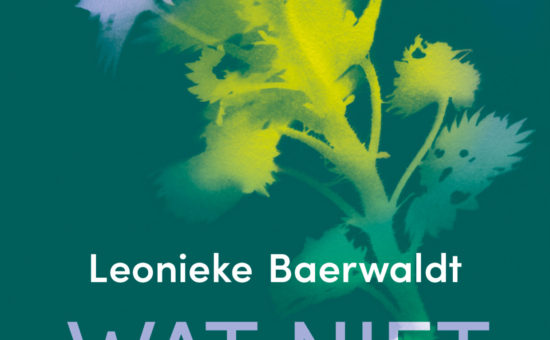 BBP2025 Watnietvergaat Cover