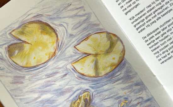 Schermafbeelding 2025 10 27 154634